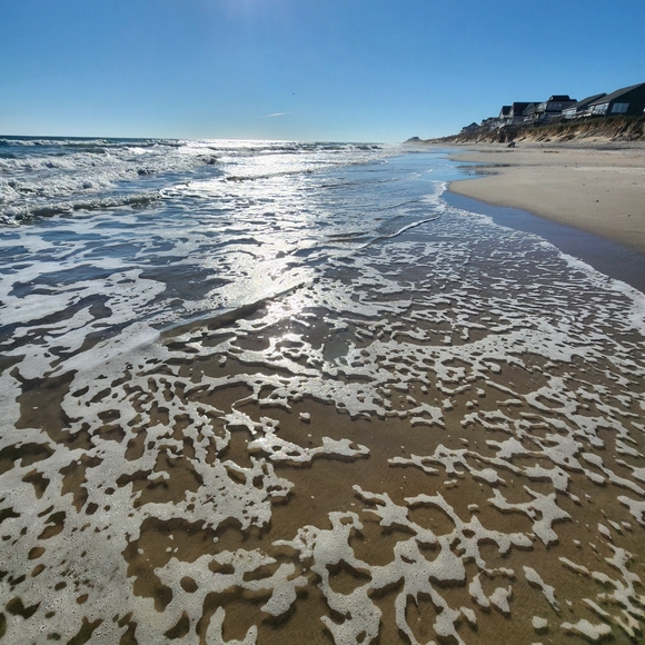 Meet your Posher, Thomas - Picture 8 of 8